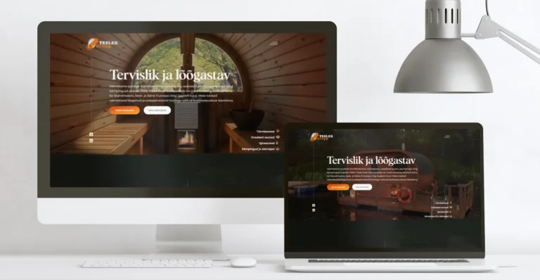 Homepage 5 Tesler e-commerce